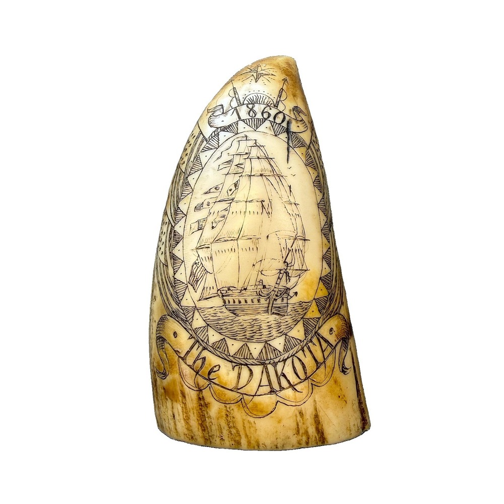 SCRIMSHAW REPRODUCTION TOOTH " DAKOTA" OUT OF NANTUCKET